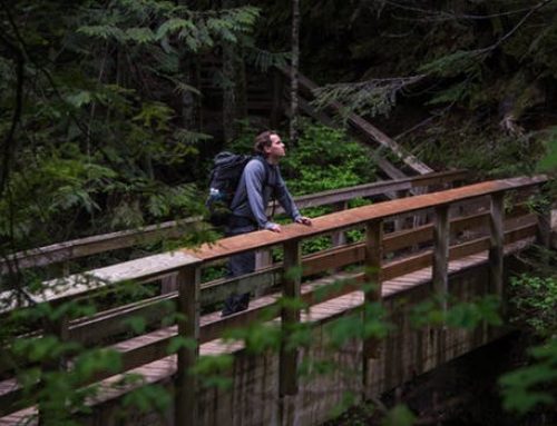 Wednesday Wisdom–Taking a Look Back