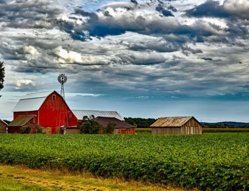 Wednesday Wisdom–Can Do